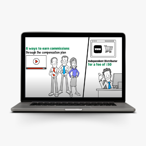 Compensation Plan Explainer