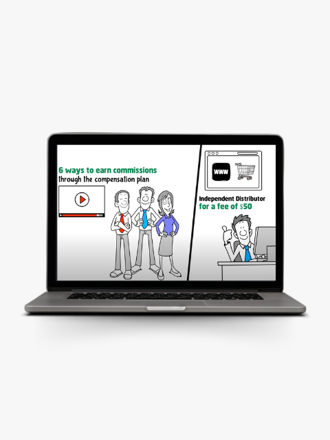 Compensation Plan Explainer